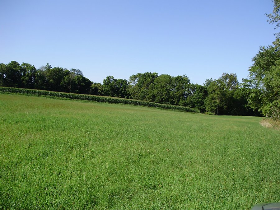 LAND AUCTION - 85.7+/- ACRES OFFERED IN 3 TRACTS IN WAYNE COUNTY, INDIANA